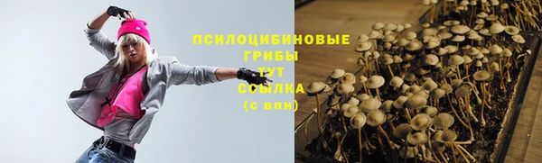 трава Новокубанск