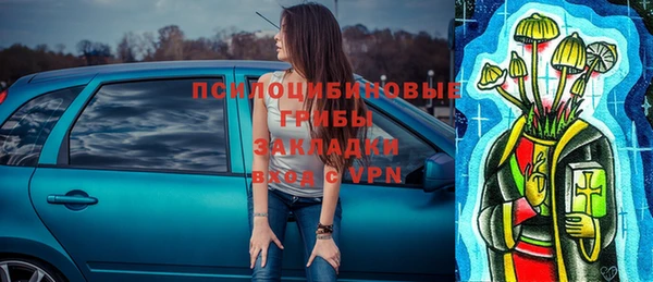 амф Новозыбков