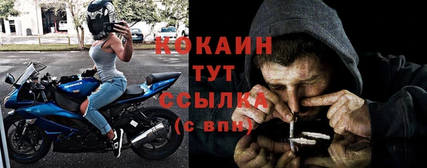 амф Новозыбков
