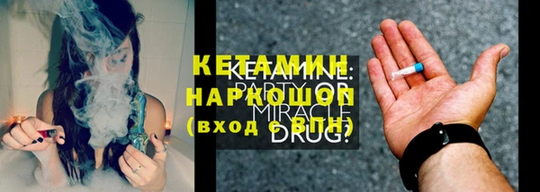 амф Новозыбков