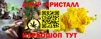 СК Апшеронск