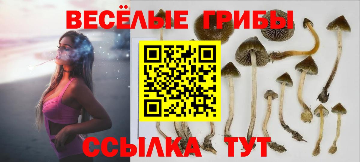 Галлюциногенные грибы Cubensis  Вход с VPN  Рославль 