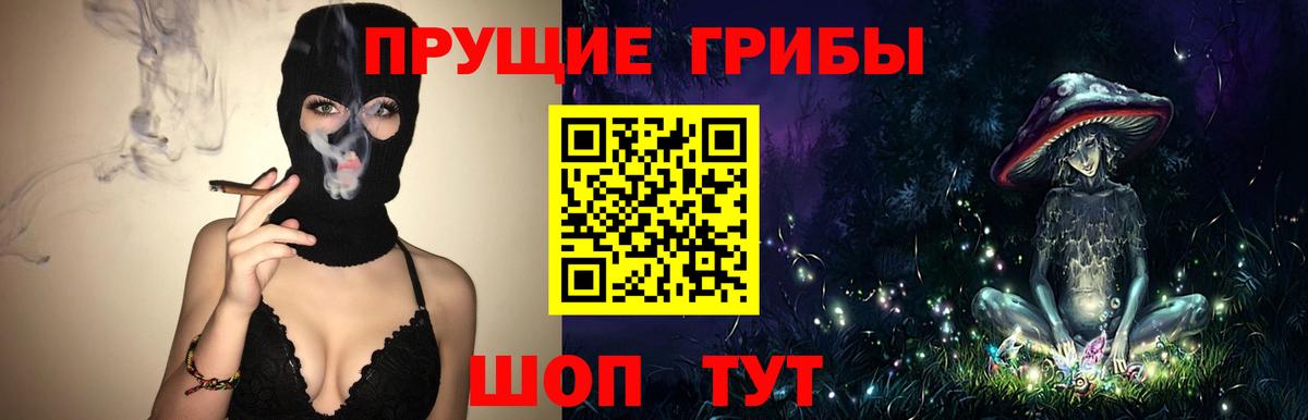 Галлюциногенные грибы прущие грибы Рославль