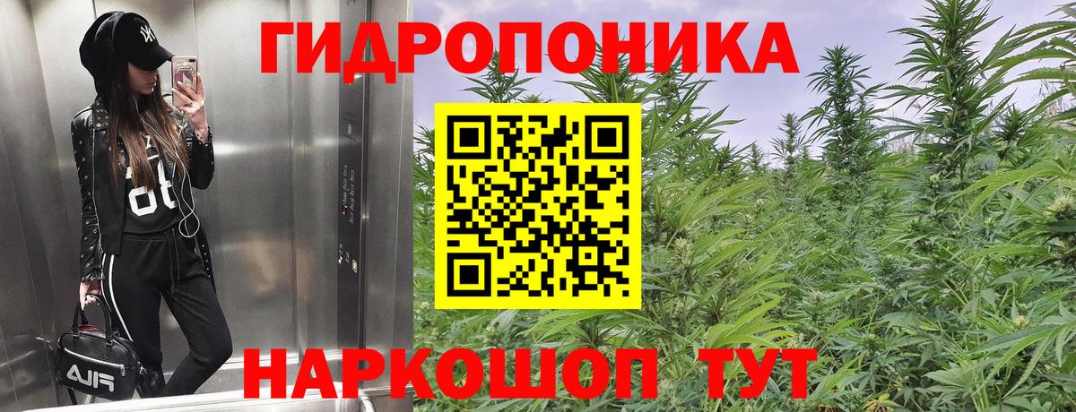 Канабис White Widow  Бошки марихуана White Widow  Рославль 